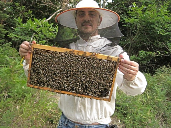 giannis tamparis melissokomos